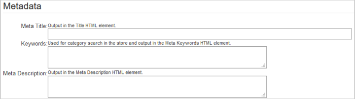 The input fields on the Metadata page where users can customize HTML elements