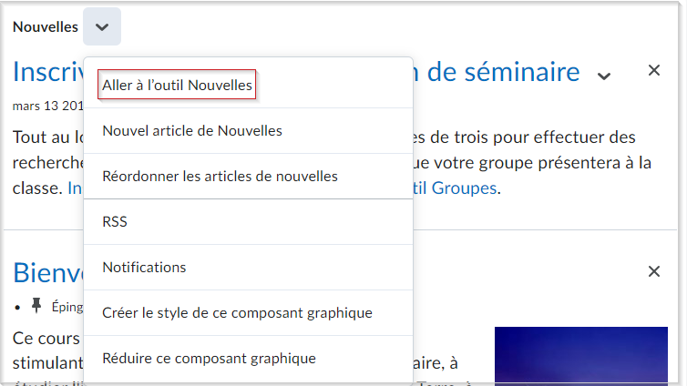 L'option Accéder à l'outil Annonces.