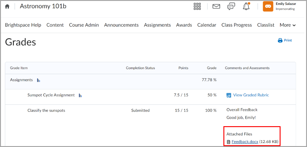 The image displays a user interface from a course, specifically the Grades section. The grades are organized into categories such as Grade Item, Completion Status, Points, and Comments and Assessments. Under Grade Item, there are two assignments listed. On the far right, there is an area labelled Comments and Assessments, where the overall feedback was provided. Beneath the feedback, highlighted with a red box, there is a section for Attached Files indicating that there is a feedback document named Feedback.docx