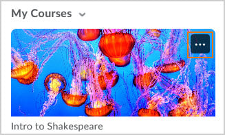 When you hover over the default course images, an ellipses button appears that provides options to pin or change the image.