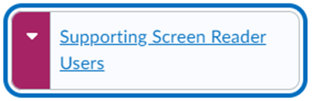 Image of a module with the words Supporting Screen Reader Users