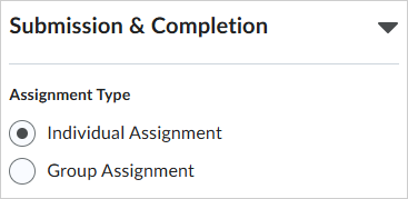The Submission & Completion accordion. Under Assignment Type, there are radio buttons with the option to select Individual Assignment or Group Assignment.