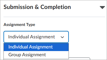 The Submission & Completion accordion. Under Assignment Type, there are radio buttons with the option to select Individual Assignment or Group Assignment.