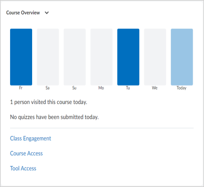 The Course Overview widget, with a bar graph of how many people visited the course over the past 7 days, a message with the number of quizzes submitted today, and links to Class Engagement, Course Access, and Tool Access.