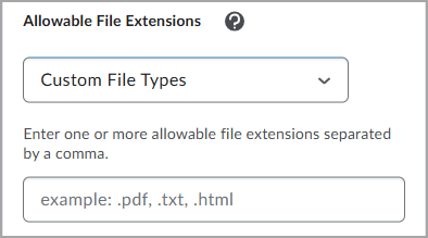 El campo Extensiones de archivo permitidas, con la opción Tipos de archivo personalizados seleccionada, abre un campo de texto para enumerar las extensiones de archivo admitidas