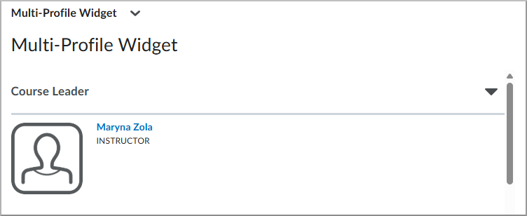 Vorige interface van de widget Meerdere profielen met daarop profielvelden zonder samenvouwbare panels.