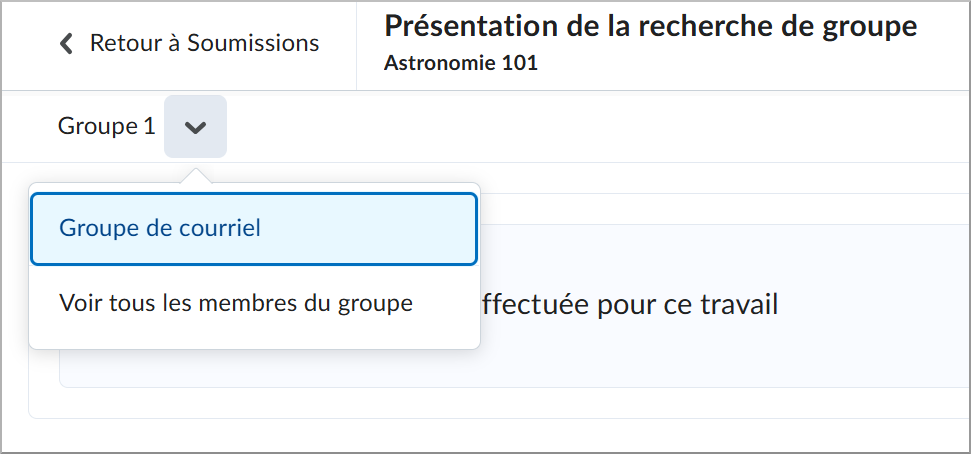 Le bouton Envoyer un courriel au groupe de la page Évaluation des travaux de groupe pour les groupes ne comportant pas de membres.