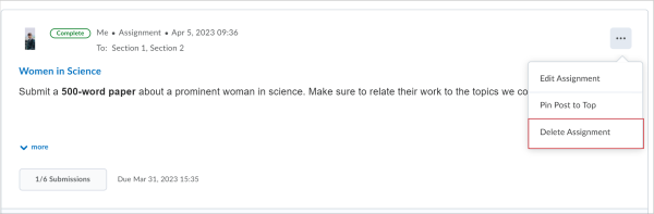 The Options menu for an assignment post showing the Delete Assignment option.