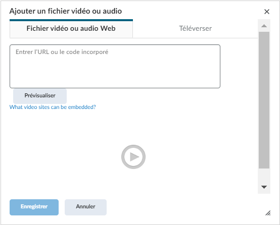 L’onglet Vidéo ou Audio Web.