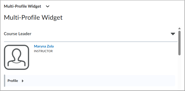 Updated Multi-Profile widget interface showing profiles that can be expanded and collapsed.