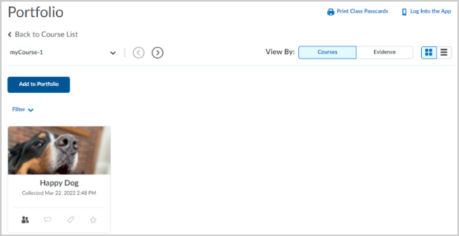 Viewing evidence in a course portfolio