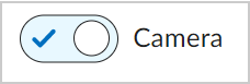 The Camera toggle showing that it is enabled with a checkmark.