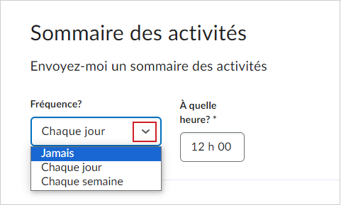 L'option permettant de sélectionner le sommaire périodique des activités.