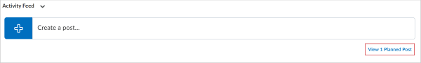 The View Planned Post option in the Activity Feed widget.