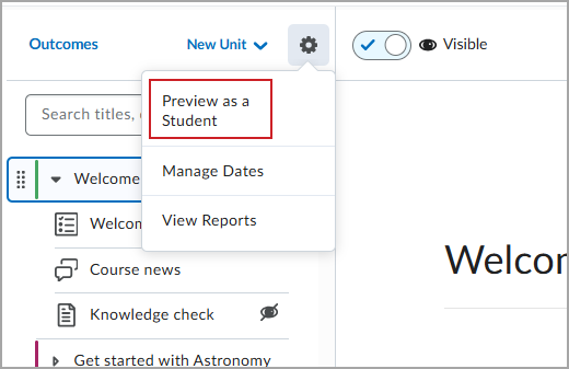 Preview as a Student option in the Settings menu in the New Content Experience