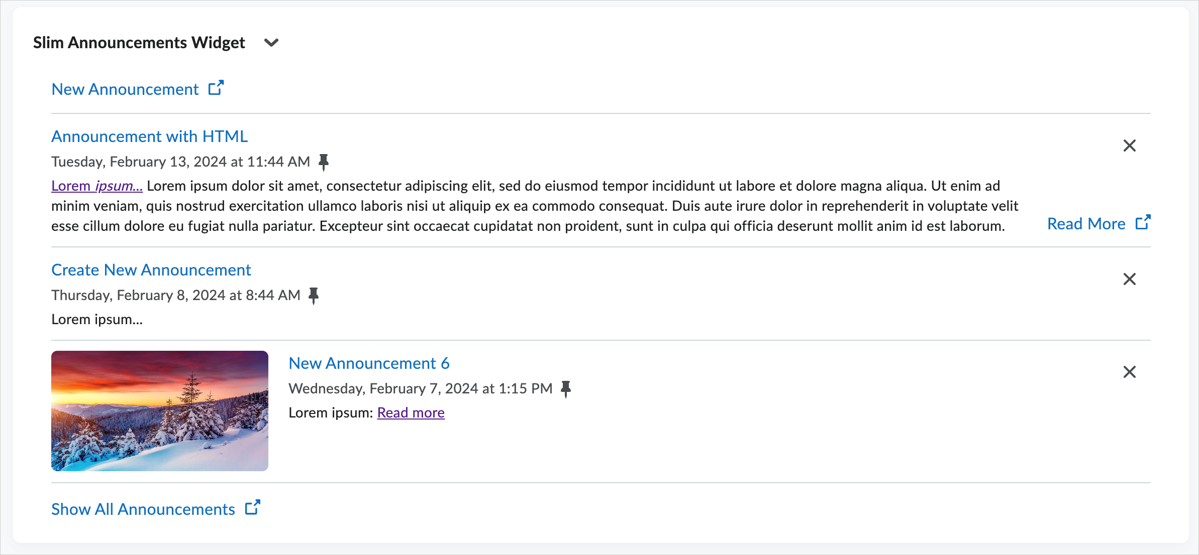 The Slim Announcements widget showing the options to pin announcements. Three maximum images are displayed and one has a default image.