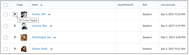 The flag icon on the Classlist page.