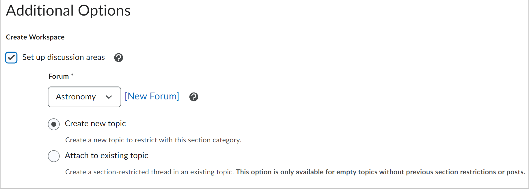 The Additional Options section showing the options for creating a workspace for discussions.