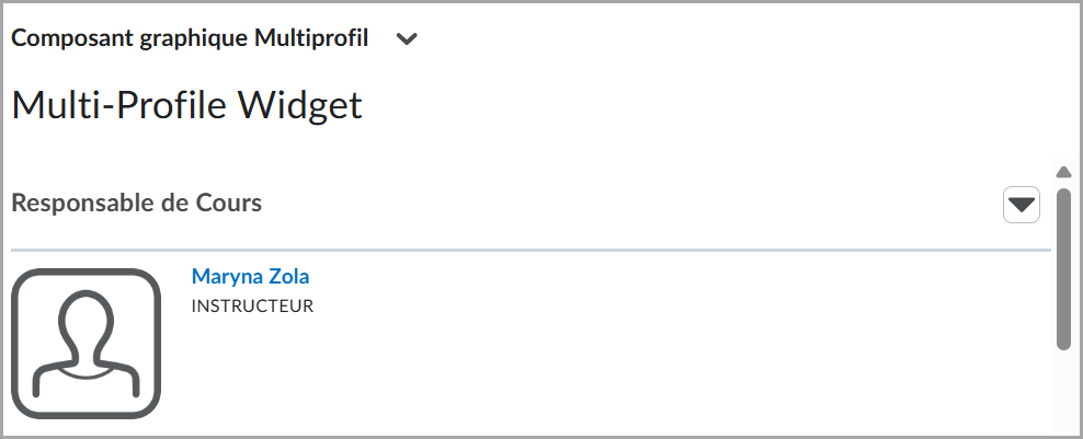 Ancienne interface du composant graphique Multiprofil affichant les champs de profil sans panneaux réductibles.