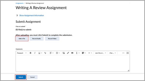 The Submit Assignment page with the Add a File and Submit options highlighted