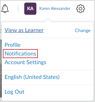 The Notifications option.