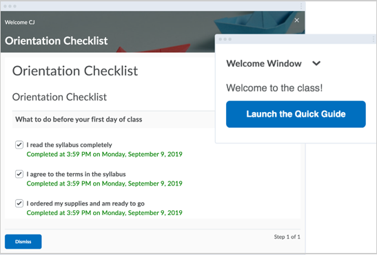 The Welcome Window widget showing an Orientation Checklist.