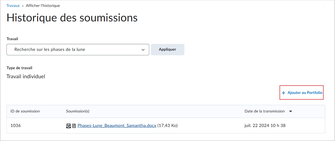 La page Historique des soumissions comprend l'option + Ajouter au portfolio.