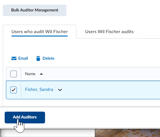 The Add Auditors button below the list of users.