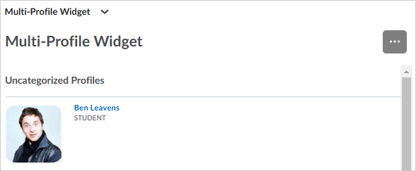 The Multi-Profile widget with Ben Leavens displayed as a STUDENT role.