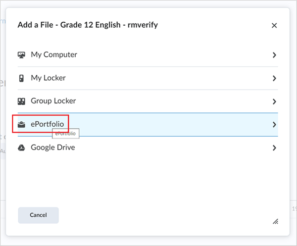 The ePortfolio option