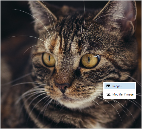 L'option Modifier l'image lorsque vous cliquez avec le bouton droit de la souris sur une image.