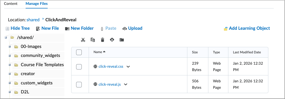 Public Files page showing an organization-level folder with uploaded CSS and JavaScript files for a reusable custom widget.