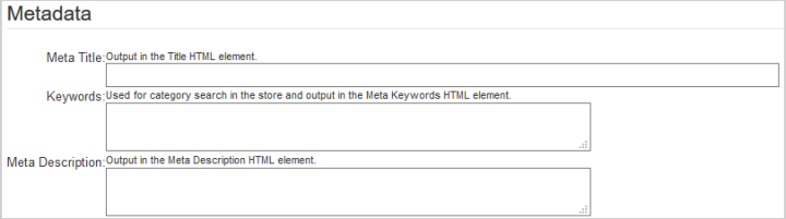 Os campos de entrada na página metadados, onde os usuários podem personalizar elementos HTML