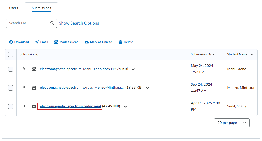 A submitted video file as displayed on the Submissions tab.