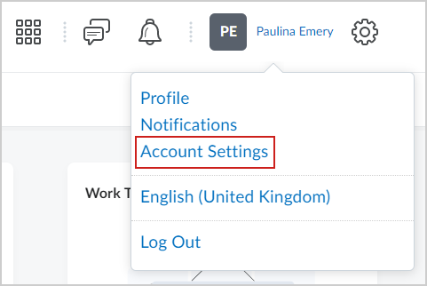 The Account Settings option.