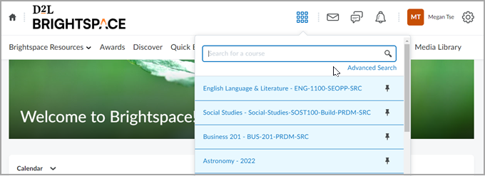 Organizational homepage with expanded list of courses from the Course Selector.