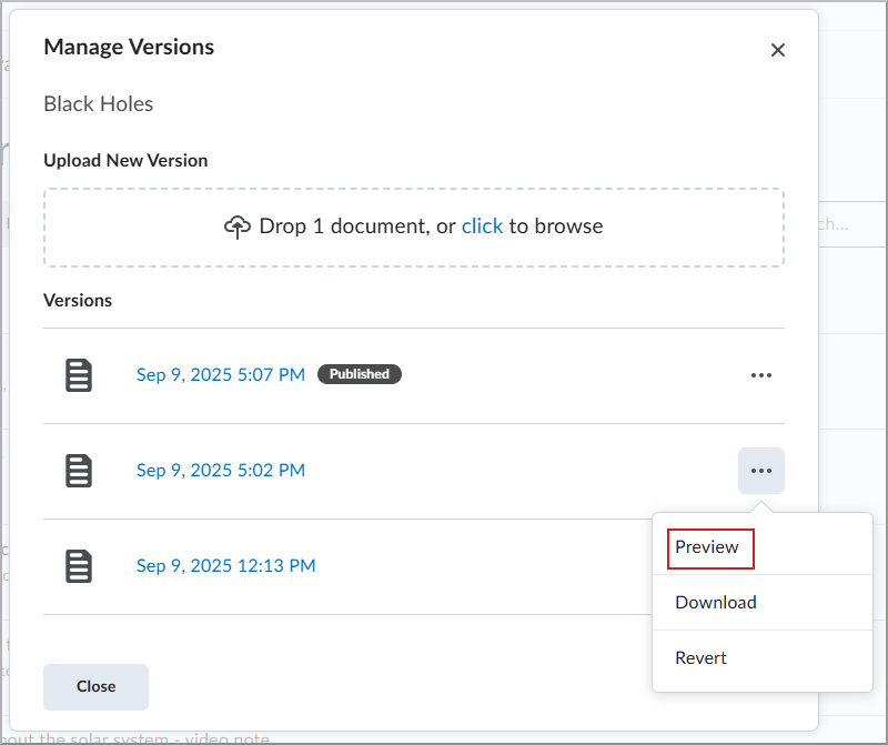 Manage version screen with Preview highlighted.