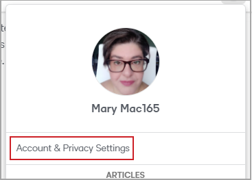 The first item in the Profile menu is the Account & Privacy Settings option.