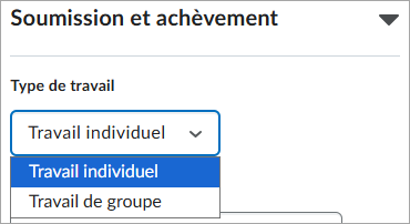 L'accordéon Soumission et achèvement. Sous Type de travail, des boutons radio permettent de sélectionner Travail individuel ou Travail de groupe.