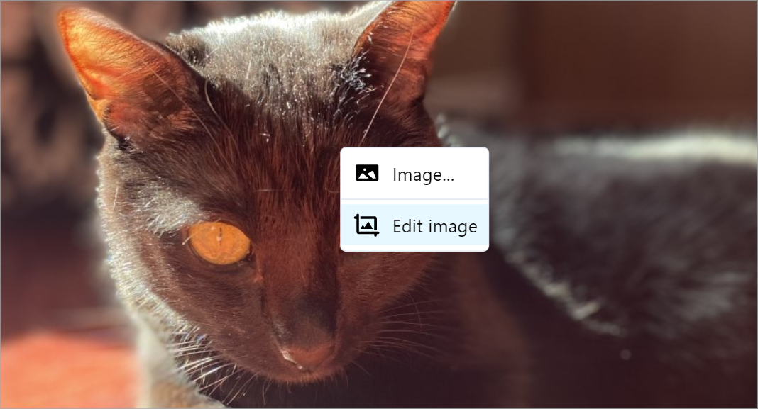 The Edit image option when right-clicking a picture