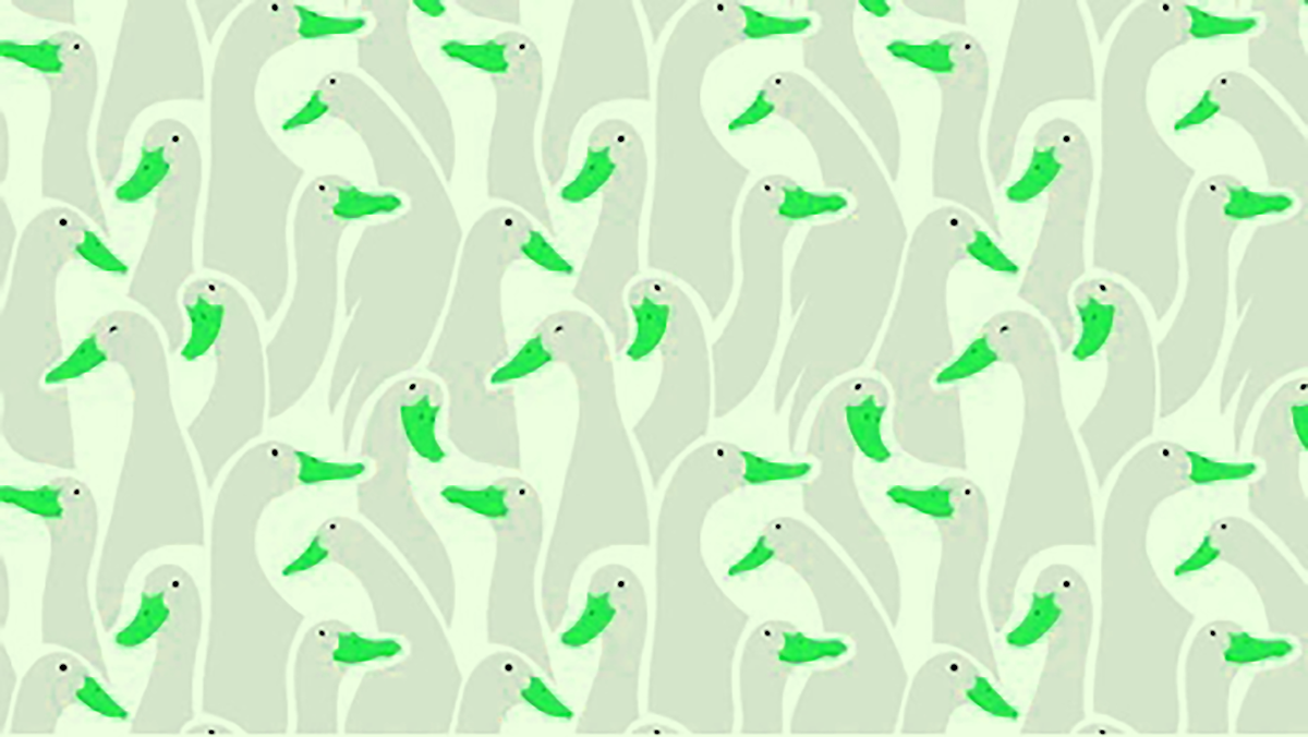 background-cute-ducks-gooses-funny-260nw-2020616663.png