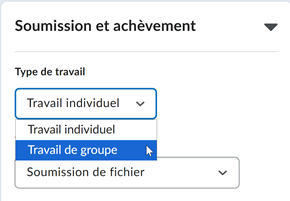 Nouveau menu déroulant dans lequel le type Travail individuel est sélectionné Nouveau menu déroulant dans lequel le type Travail individuel est sélectionné