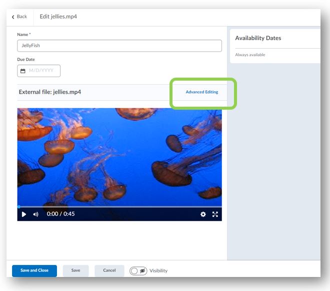 Image showing the Advanced Editing button in the New Content Experience with New Edit Experience on.