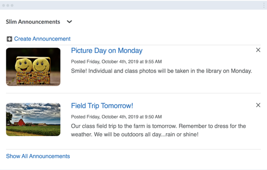 Slim Announcements widget screenshot