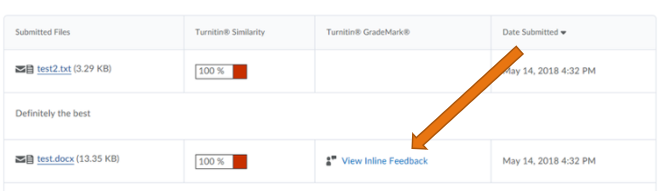 turnitin screenshot