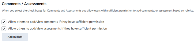 The Comments / Assessments option