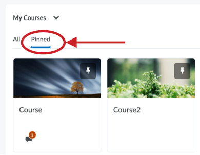 A screenshot of the My Courses widget, highlighting the "Pinned" tab.