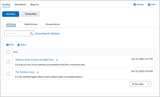 Overview of the Blog tool interface.