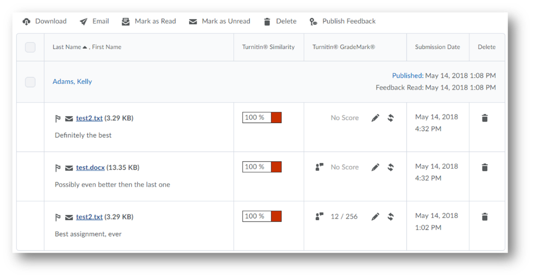 turnitin screenshot