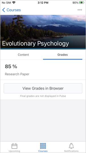 The Grades tab for a course in Brightspace Pulse